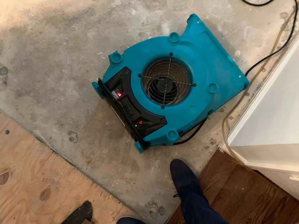Air mover drying subfloor during Leak Detection & Repair in Annandale
